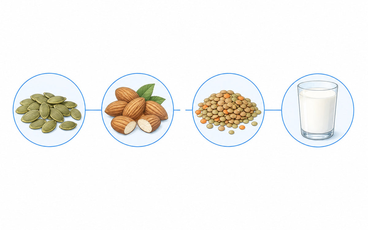 Zink zusammen mit Magnesium, Eisen und Calcium: Kürbiskerne, Mandeln, Linsen und Milch, durch Linien verbunden