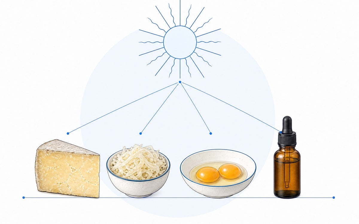 Warum Vitamin D3 mit K2? Sonne über Käse, Sauerkraut, Eigelb und einer Pipettenflasche