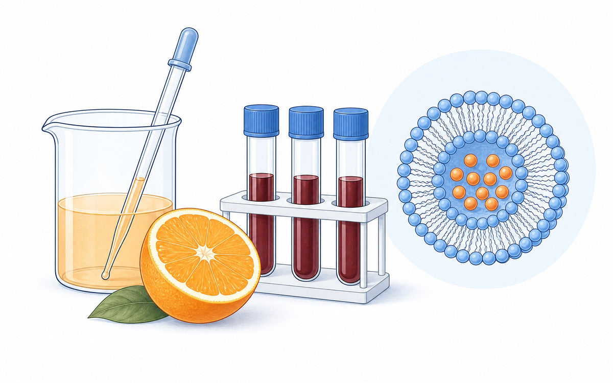 Vitamin C Studienlage: Laborglas, halbe Orange, Blutröhrchen und ein Liposom