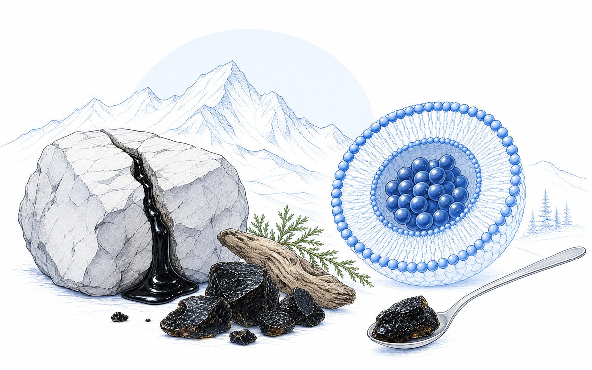 Shilajit, was ist das? Dunkles Harz tritt aus einem Felsen im Gebirge