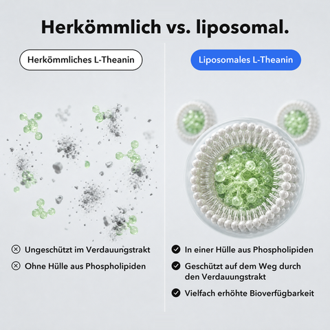 Liposomales L‑Theanin