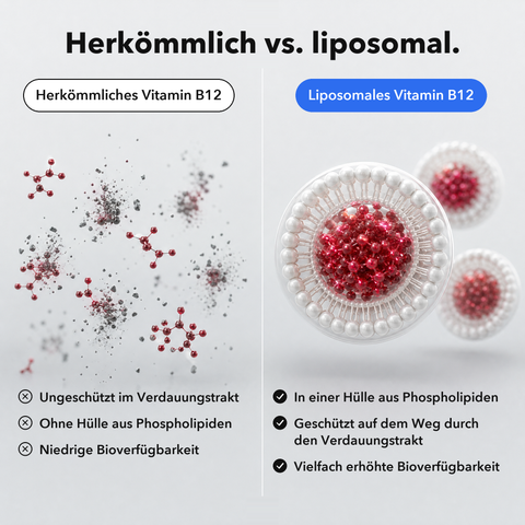 Liposomales Vitamin B12 (Kapseln)