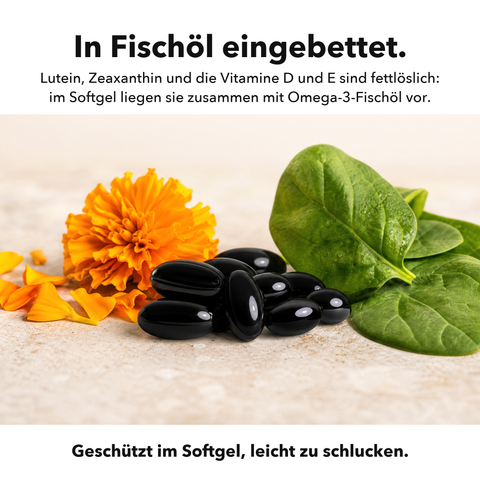 Auge Plus: In Fischöl eingebettet