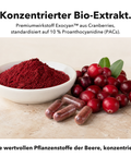 Bio Cranberry: Konzentrierter Bio-Extrakt