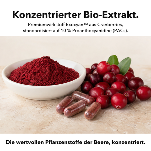 Bio Cranberry: Konzentrierter Bio-Extrakt