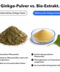 Bio Ginkgo Biloba: Ginkgo-Pulver vs. Bio-Extrakt