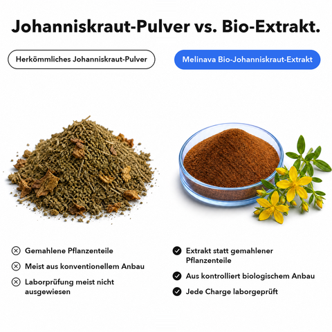 Bio Johanniskraut: Johanniskraut-Pulver vs. Bio-Extrakt