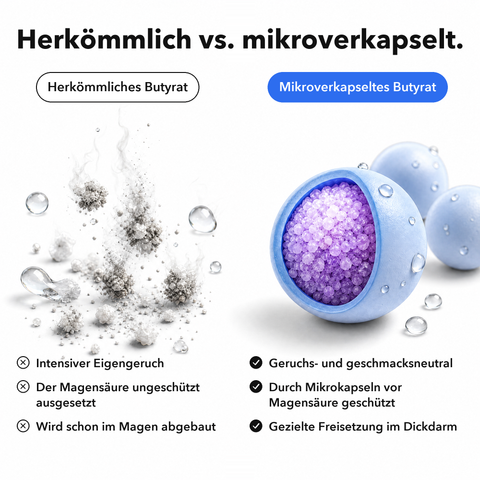 Butyrat Mikroverkapselt: Herkömmlich vs. mikroverkapselt