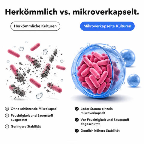 Intima Probiotika Mikroverkapselt: Herkömmlich vs. mikroverkapselt