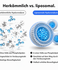 Liposomale Hyaluronsäure: Herkömmlich vs. liposomal