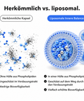 Liposomale Innere Balance: Herkömmlich vs. liposomal