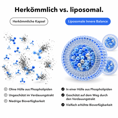 Liposomale Innere Balance: Herkömmlich vs. liposomal