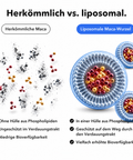 Liposomale Maca-Wurzel: Herkömmlich vs. liposomal