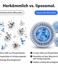 Liposomale Multimineralien: Herkömmlich vs. liposomal