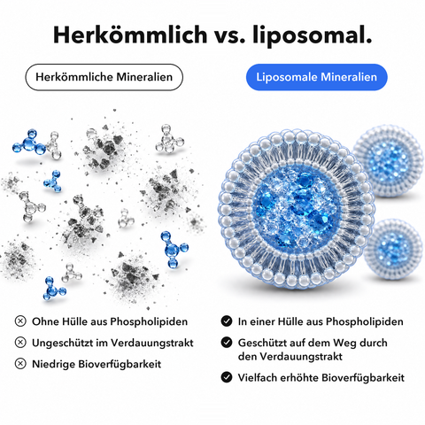 Liposomale Multimineralien: Herkömmlich vs. liposomal