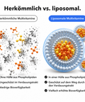 Liposomale Multivitamine: Herkömmlich vs. liposomal