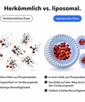 Liposomaler Eisen-Komplex: Herkömmlich vs. liposomal