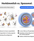 Liposomaler Mariendistel Extrakt: Herkömmlich vs. liposomal