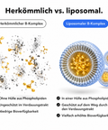 Liposomaler Vitamin-B-Komplex: Herkömmlich vs. liposomal