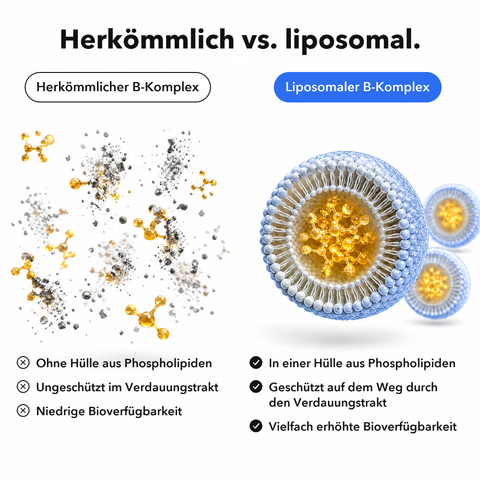 Liposomaler Vitamin-B-Komplex: Herkömmlich vs. liposomal