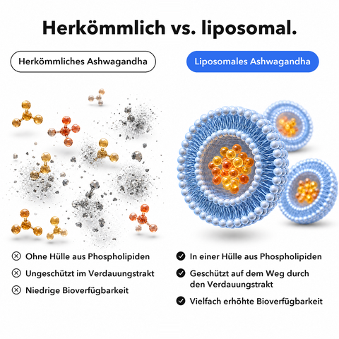Liposomales Ashwagandha (Kapseln): Herkömmlich vs. liposomal