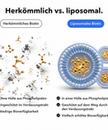 Liposomales Biotin: Herkömmlich vs. liposomal