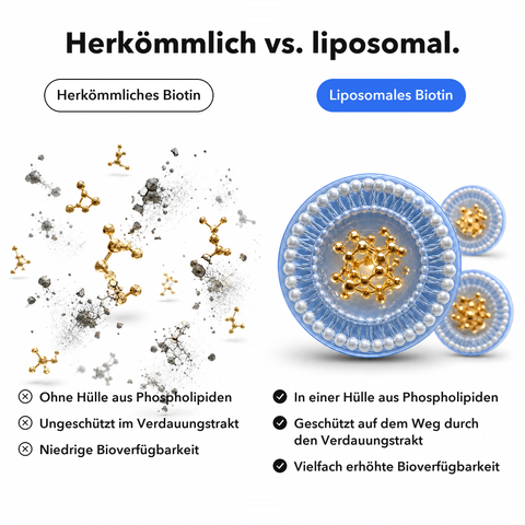 Liposomales Biotin: Herkömmlich vs. liposomal