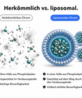 Liposomales Chrom: Herkömmlich vs. liposomal