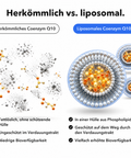 Liposomales Coenzym Q10: Herkömmlich vs. liposomal