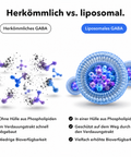 Liposomales GABA: Herkömmlich vs. liposomal