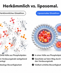Liposomales Glutathion: Herkömmlich vs. liposomal
