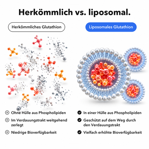 Liposomales Glutathion: Herkömmlich vs. liposomal