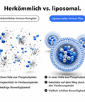 Liposomales Immun Plus: Herkömmlich vs. liposomal