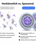 Liposomales Inositol + 5-MTHF: Herkömmlich vs. liposomal