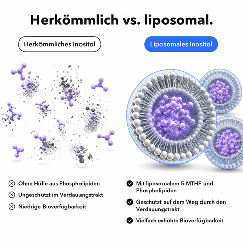 Liposomales Inositol + 5-MTHF: Herkömmlich vs. liposomal