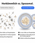 Liposomales Kalzium: Herkömmlich vs. liposomal