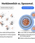 Liposomales Kupfer: Herkömmlich vs. liposomal