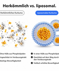 Liposomaler Kurkuma Extrakt (Tropfen): Herkömmlich vs. liposomal