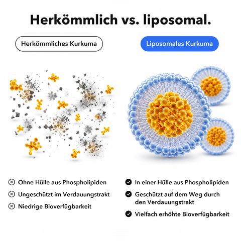 Liposomaler Kurkuma Extrakt (Tropfen): Herkömmlich vs. liposomal