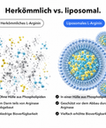 Liposomales L-Arginin: Herkömmlich vs. liposomal
