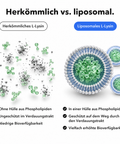 Liposomales L-Lysin: Herkömmlich vs. liposomal