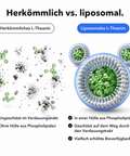 Liposomales L-Theanin: Herkömmlich vs. liposomal