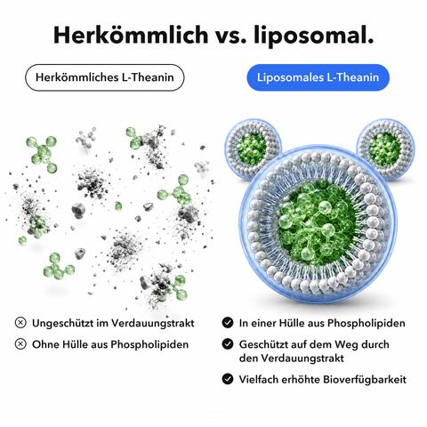 Liposomales L-Theanin: Herkömmlich vs. liposomal
