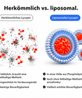 Liposomales Lycopin: Herkömmlich vs. liposomal