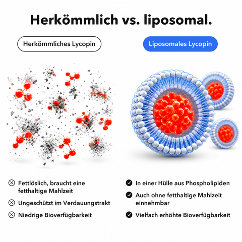 Liposomales Lycopin: Herkömmlich vs. liposomal