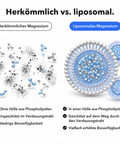 Liposomales Magnesium: Herkömmlich vs. liposomal