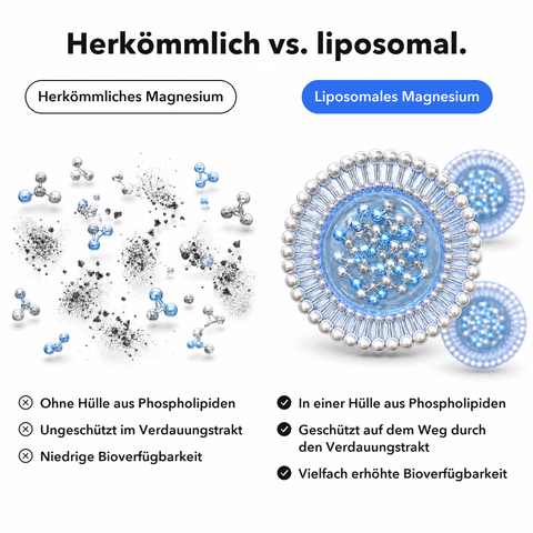 Liposomales Magnesium: Herkömmlich vs. liposomal