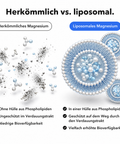 Liposomales Magnesium (Kapseln): Herkömmlich vs. liposomal