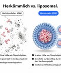 Liposomales MSM: Herkömmlich vs. liposomal