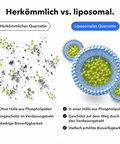 Liposomales Quercetin: Herkömmlich vs. liposomal
